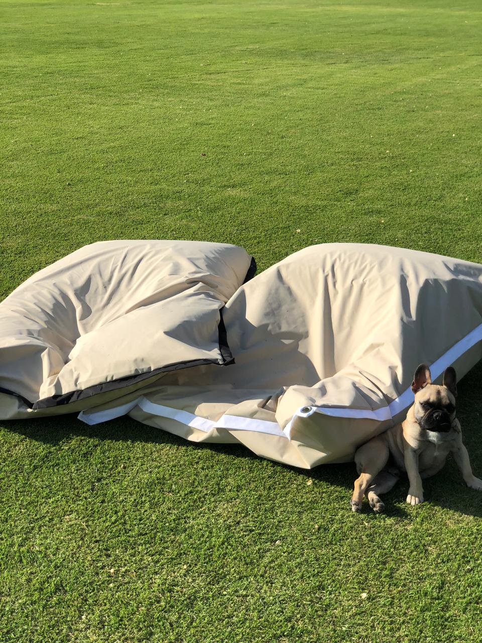 Cohins XL Exterior Beige